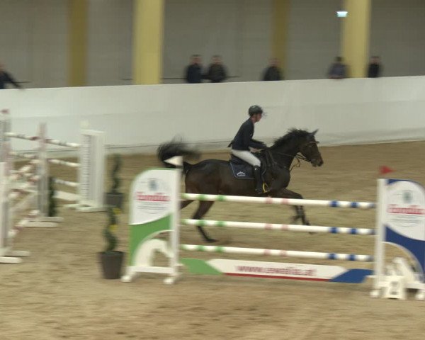 Springturnier Stadl-Paura 2023