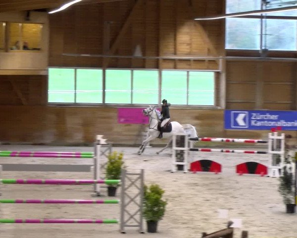 Reitturnier Rüti 2023