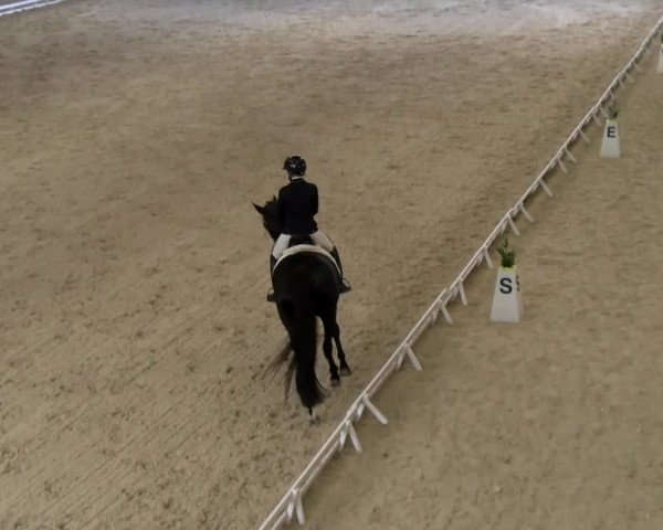 Reitturnier Schaffhausen 2023