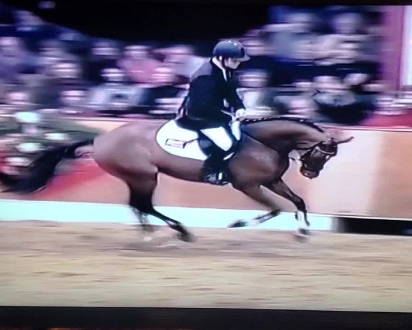 Video of Quidam's Rubin