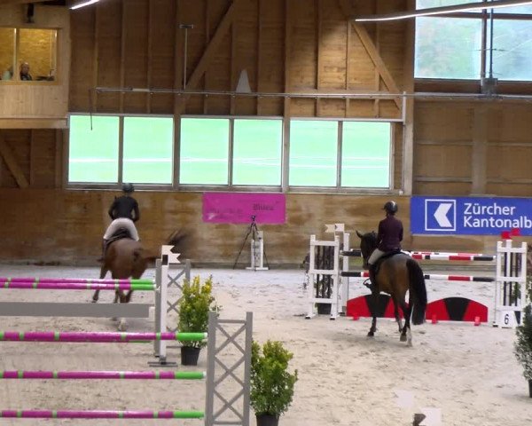Reitturnier Rüti 2023