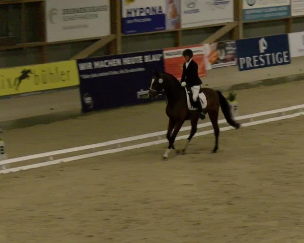 Reitturnier Schaffhausen 2023