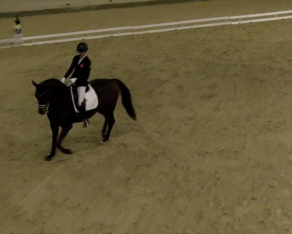 Reitturnier Schaffhausen 2023