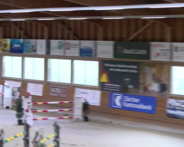 Reitturnier Rüti 2023