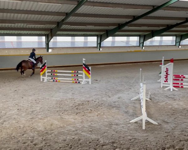 Video von Athena van Schotten