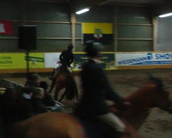 Reitturnier Pausin 2023