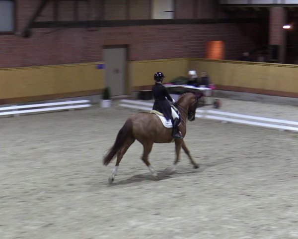 Reitturnier Hamburg-Friedrichshulde/Sylva Kuhrt 2023