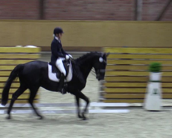 Reitturnier Hamburg-Friedrichshulde/Sylva Kuhrt 2023