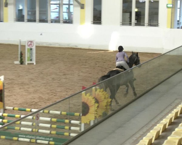 Springturnier Stadl-Paura 2023