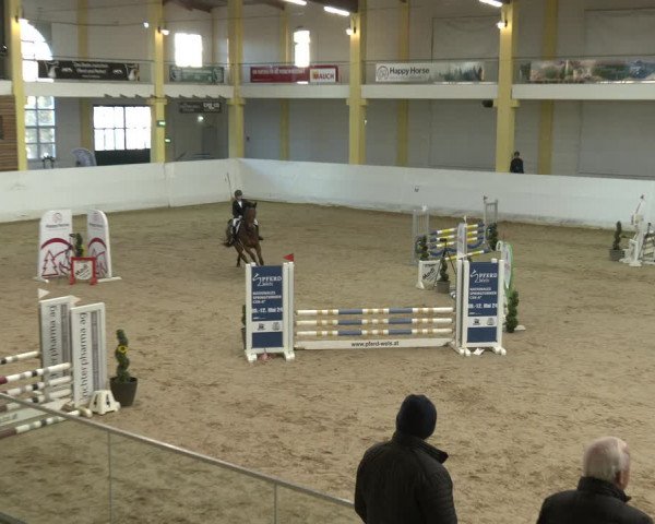Springturnier Stadl-Paura 2023