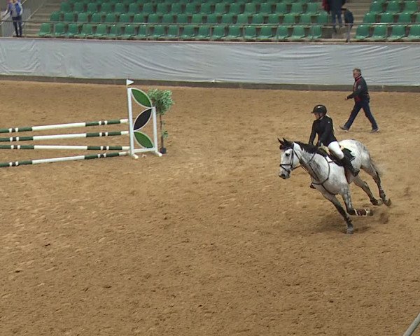 Reitturnier Kreuth 2023