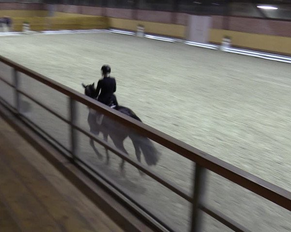 Reitturnier Hamburg-Friedrichshulde/Sylva Kuhrt 2023