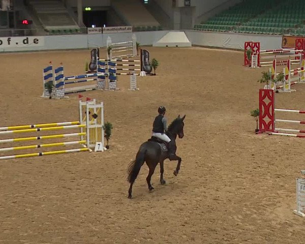 Reitturnier Kreuth 2023