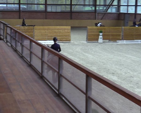 Reitturnier Hamburg-Friedrichshulde/Sylva Kuhrt 2023