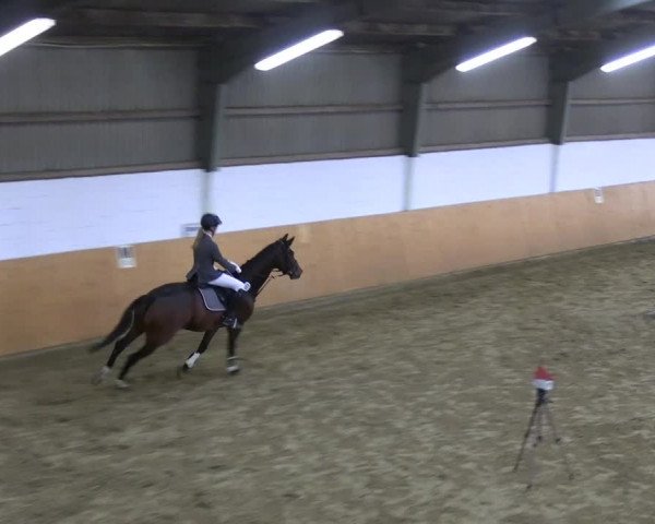 Reitturnier Datteln 2023