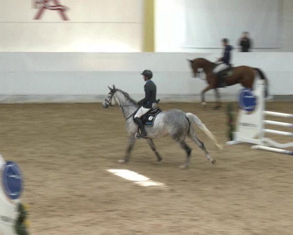Springturnier Stadl-Paura 2023