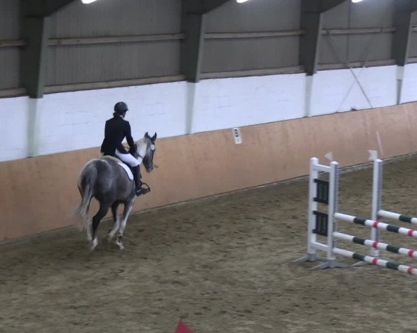 Reitturnier Datteln 2023