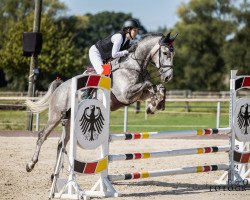 jumper Chimmi Blue (KWPN (Royal Dutch Sporthorse), 2019, from Cicero Z van Paemel)