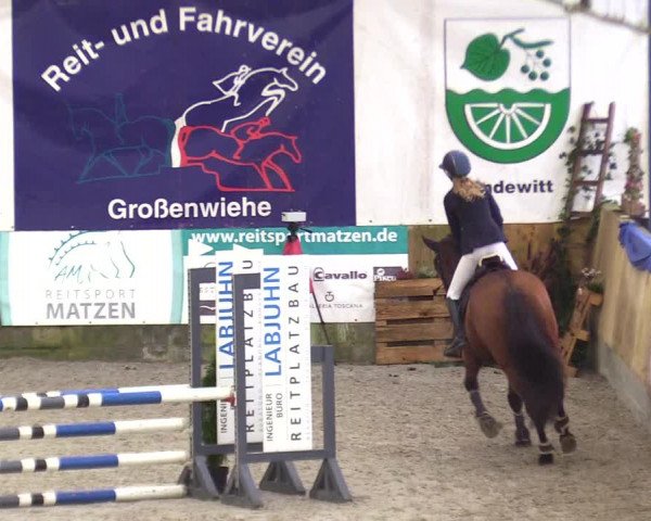 Reitturnier Großenwiehe 2023