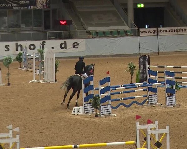 Reitturnier Kreuth 2023