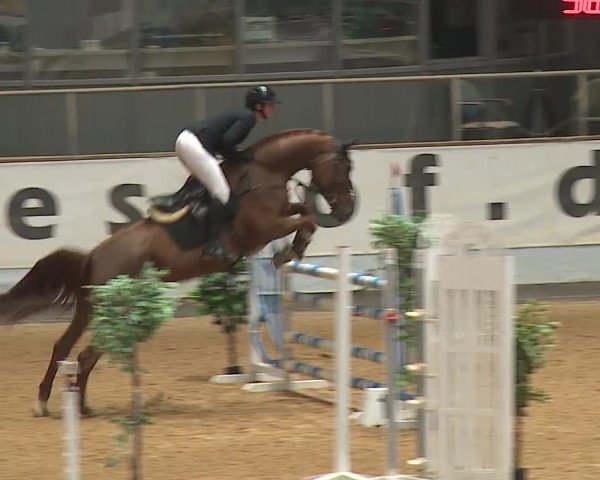 Reitturnier Kreuth 2023