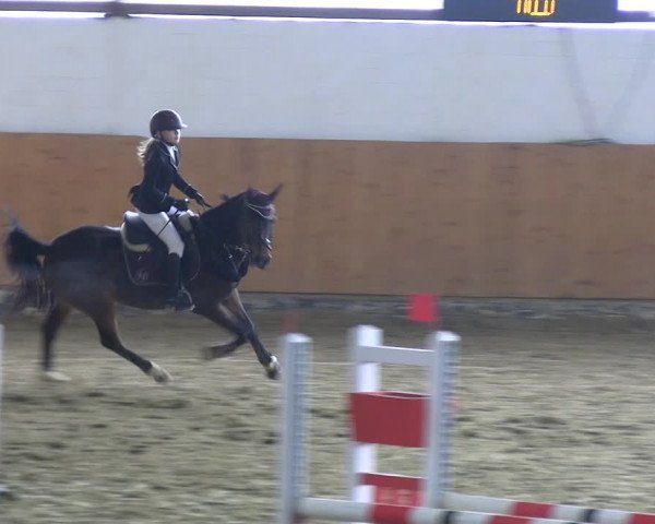 Reitturnier Datteln 2023