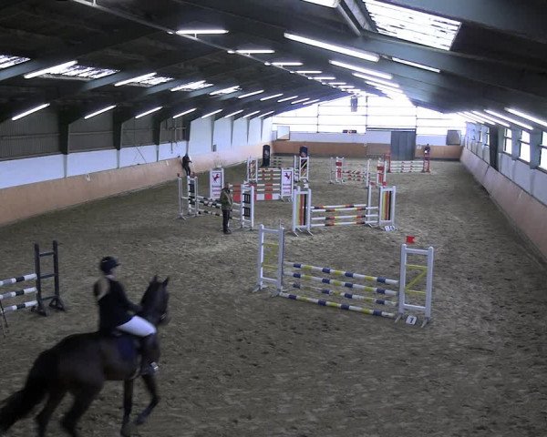 Reitturnier Datteln 2023