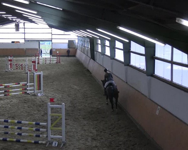 Reitturnier Datteln 2023