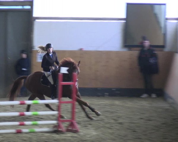 Reitturnier Datteln 2023
