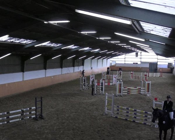 Reitturnier Datteln 2023
