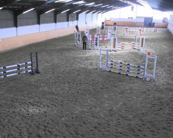 Reitturnier Datteln 2023