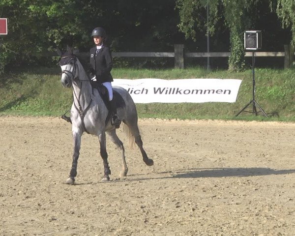 Springturnier Walldorf/Winterheck 2021