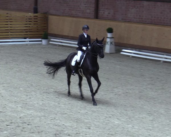 Reitturnier Hamburg-Friedrichshulde/Sylva Kuhrt 2023