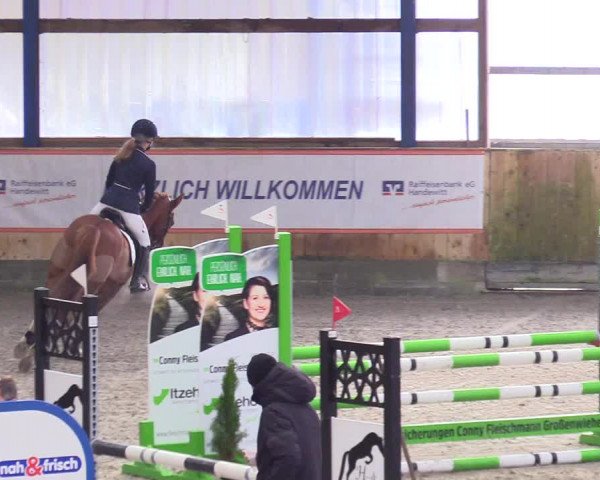 Reitturnier Großenwiehe 2023