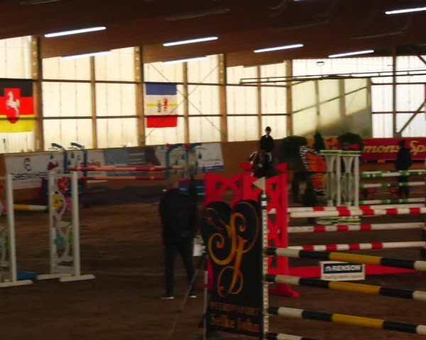 Reitturnier Pausin 2023