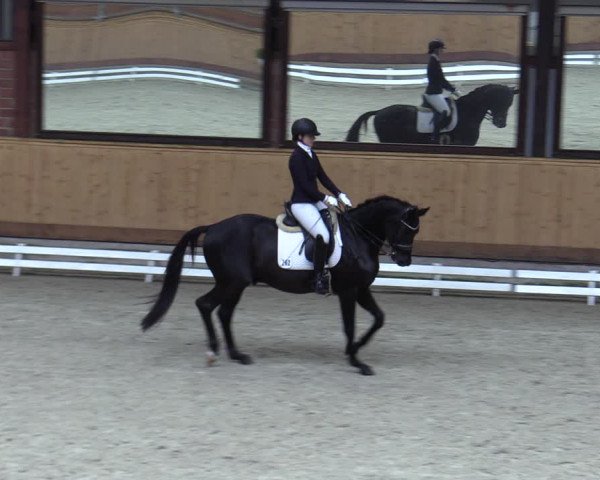 Reitturnier Hamburg-Friedrichshulde/Sylva Kuhrt 2023