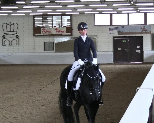 Reitturnier Zweibrücken-Landgestüt / Halle 2023