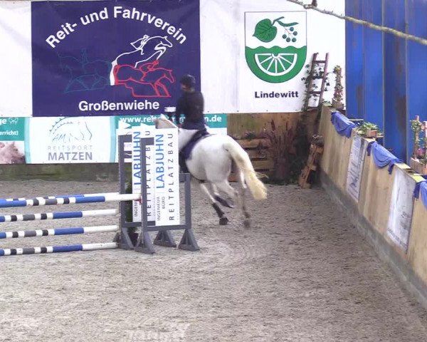 Reitturnier Großenwiehe 2023