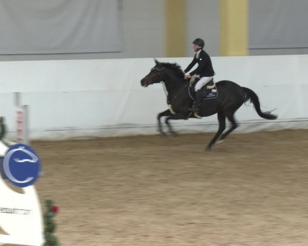 Springturnier Stadl-Paura 2023