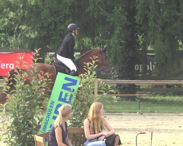 Springturnier Walldorf/Winterheck 2021