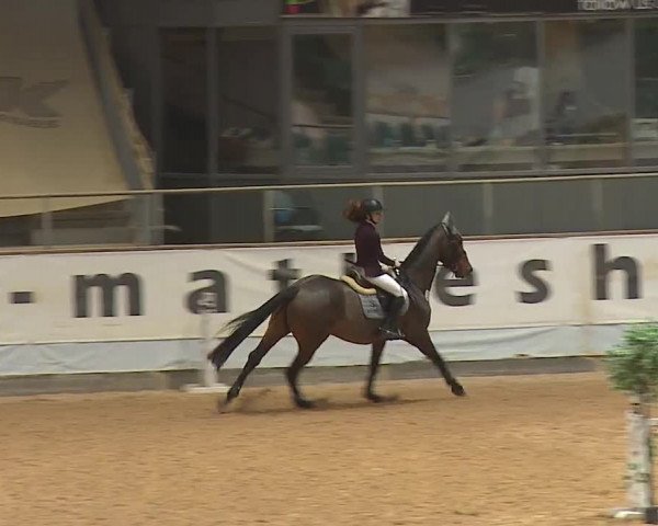 Reitturnier Kreuth 2023