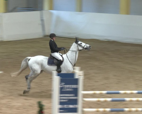 Springturnier Stadl-Paura 2023