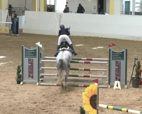 Springturnier Stadl-Paura 2023
