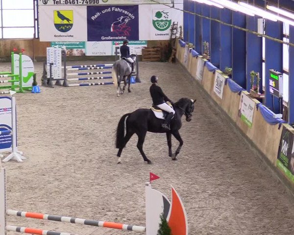 Reitturnier Großenwiehe 2023
