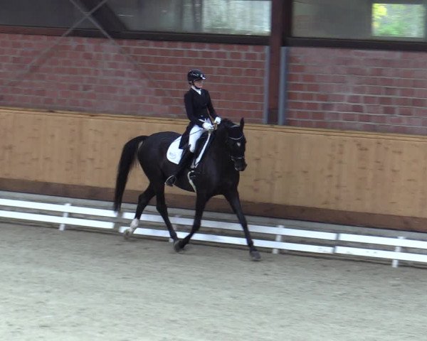 Reitturnier Hamburg-Friedrichshulde/Sylva Kuhrt 2023