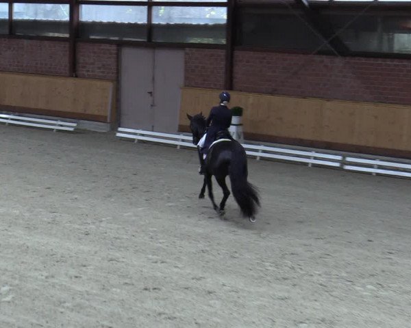 Reitturnier Hamburg-Friedrichshulde/Sylva Kuhrt 2023