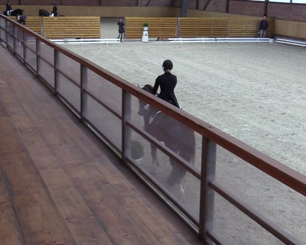 Reitturnier Hamburg-Friedrichshulde/Sylva Kuhrt 2023