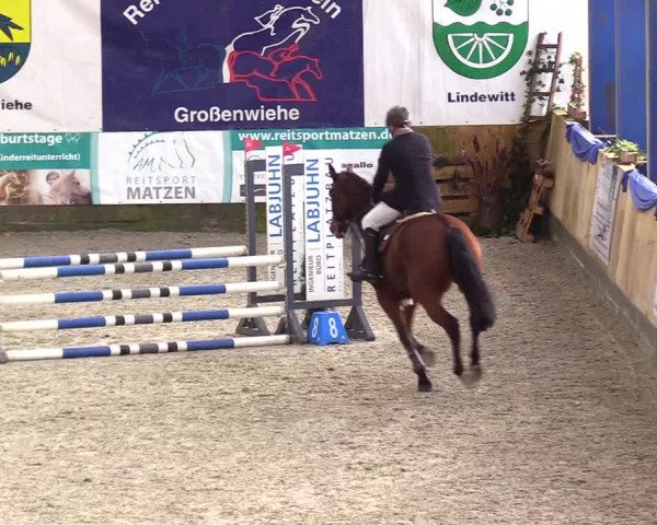 Reitturnier Großenwiehe 2023