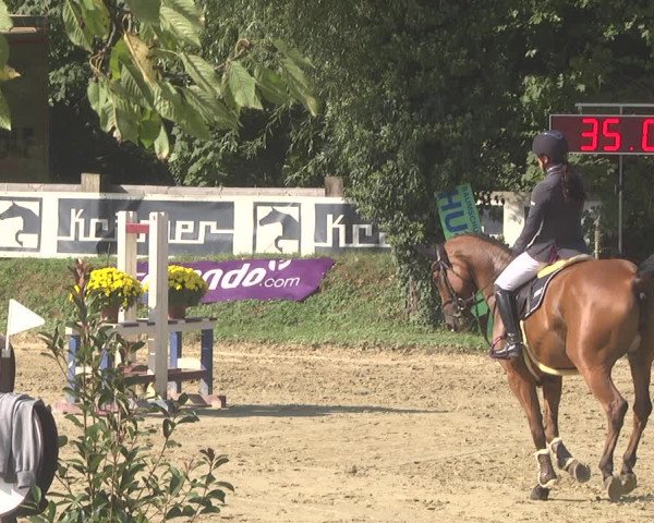 Springturnier Walldorf/Winterheck 2021