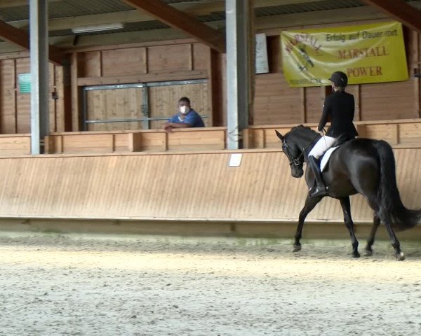 Reitturnier Isny-Rohrdorf 2021